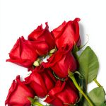Caribbean Poetry eBook Kindle Edition Spanish 2nd Edition by Amazon-0