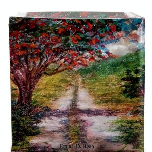 Caribbean Poetry Collection by Bean3 Publications-0