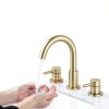 Bathroom Faucet IUERASD 8" Widespread Gold Pop-Up Drain-4
